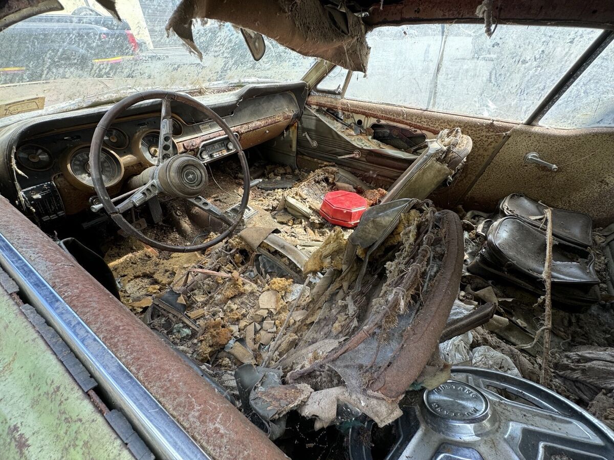 1967 Ford Mustang base - photo 8