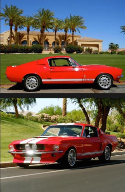 1967 Ford Mustang GT500, Shleby, Fastback. "Registered as a Ford GT500" 1967 Ford Mustang GT500