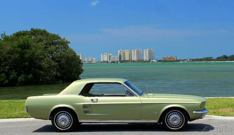1967 Ford Mustang 1 of only 4,403 produced with a 390 V8 Automatic C6 - photo 5