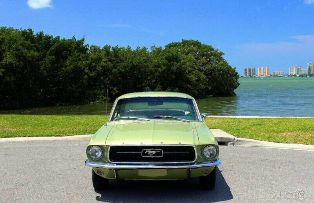 1967 Ford Mustang 1 of only 4,403 produced with a 390 V8 Automatic C6 - photo 8