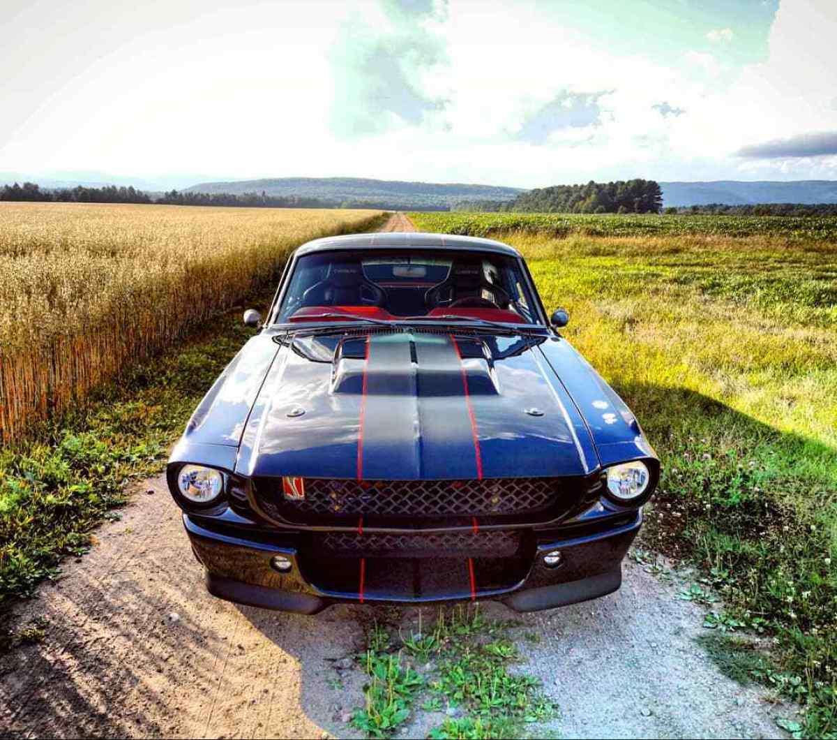 1967 Ford Mustang GT - photo 2