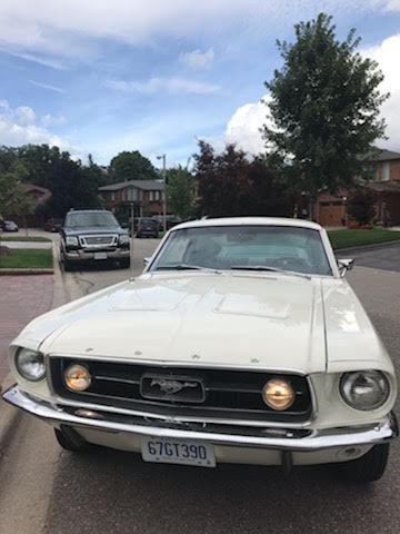 1967 Ford Mustang, Whimbleton White, S Code, MINT 1967 Ford Mustang Blue
