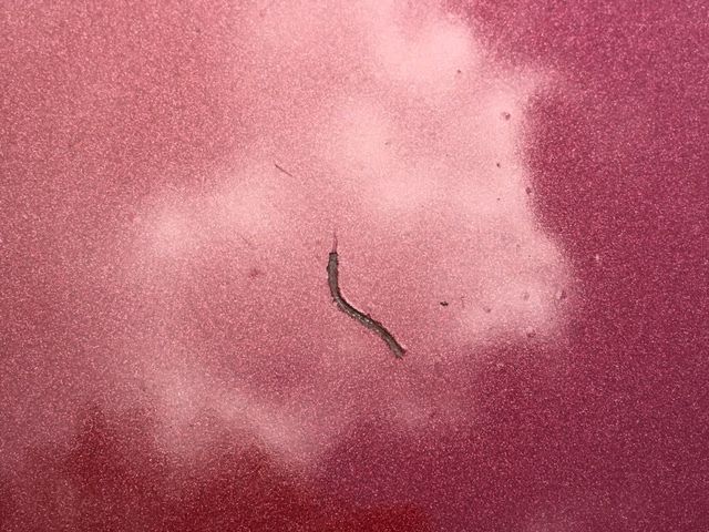 1967 Pontiac GTO - photo 13