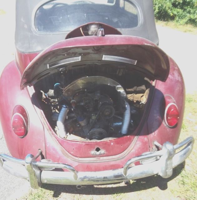 1967 Volkswagen Beetle - Classic Convertible - photo 3