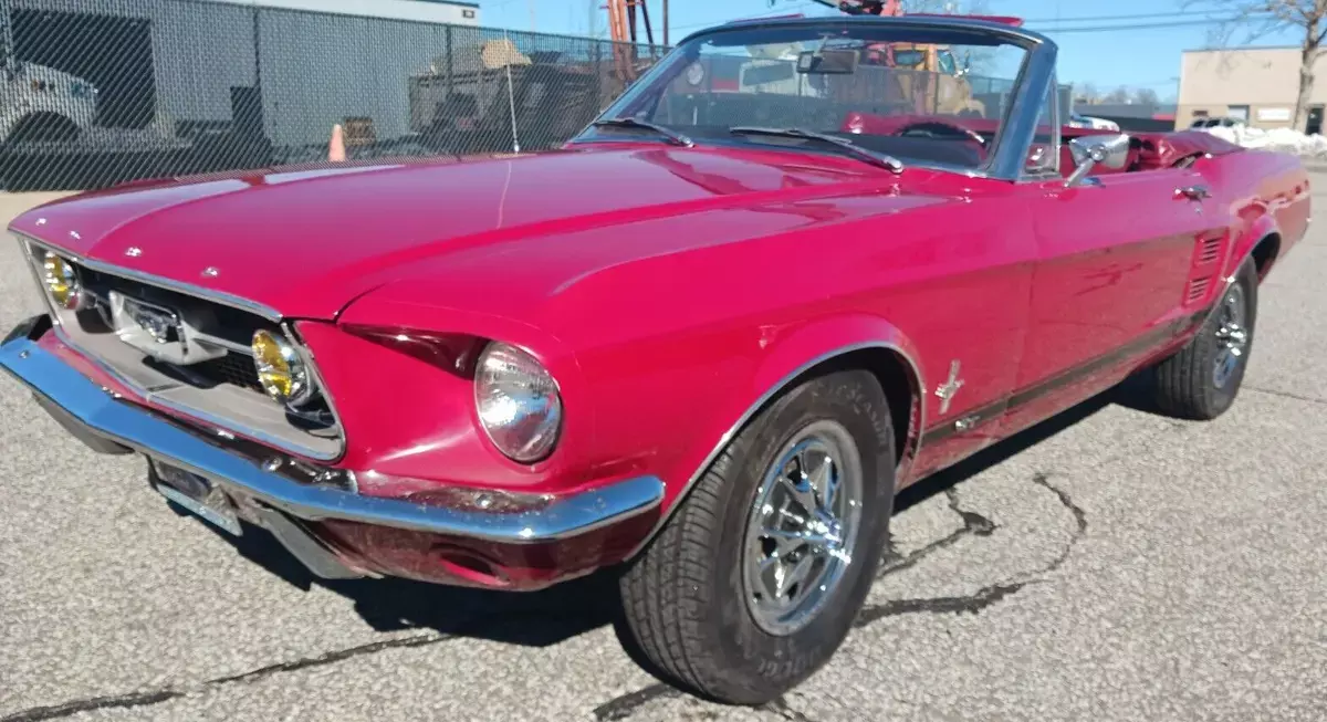 1967 MUSTANG CONVERTIBLE C-CODE 289 AUTO GT OPTIONS 65k MILES P/S P/TOP BEAUTY!! 1967 Ford Mustang