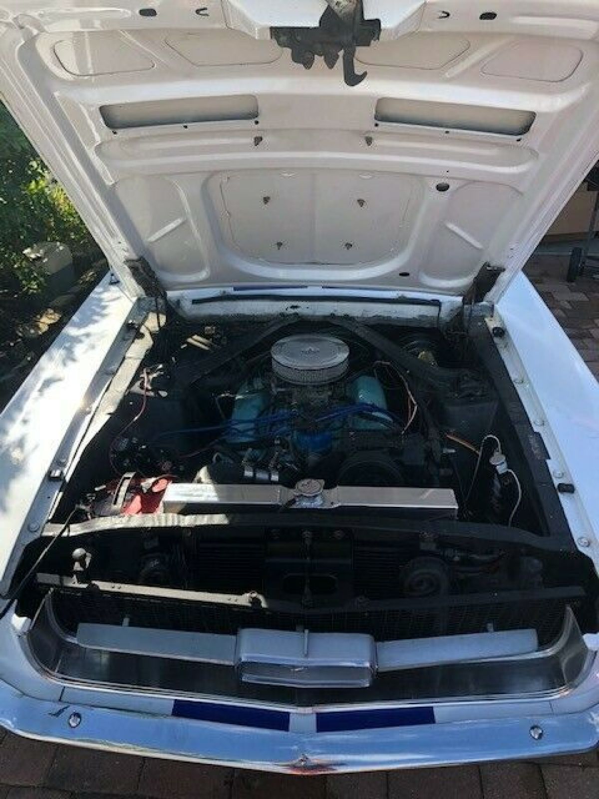 1967 Ford Mustang Coupe V-8 - photo 7
