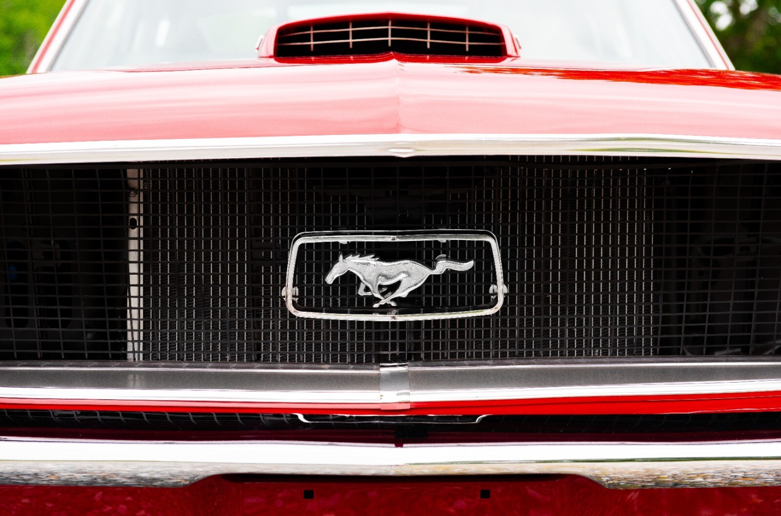 1967 Ford Mustang - photo 4