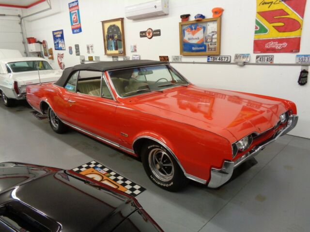 1967 Oldsmobile 442 Convertible 4 speed! 1967 Oldsmobile 442 442