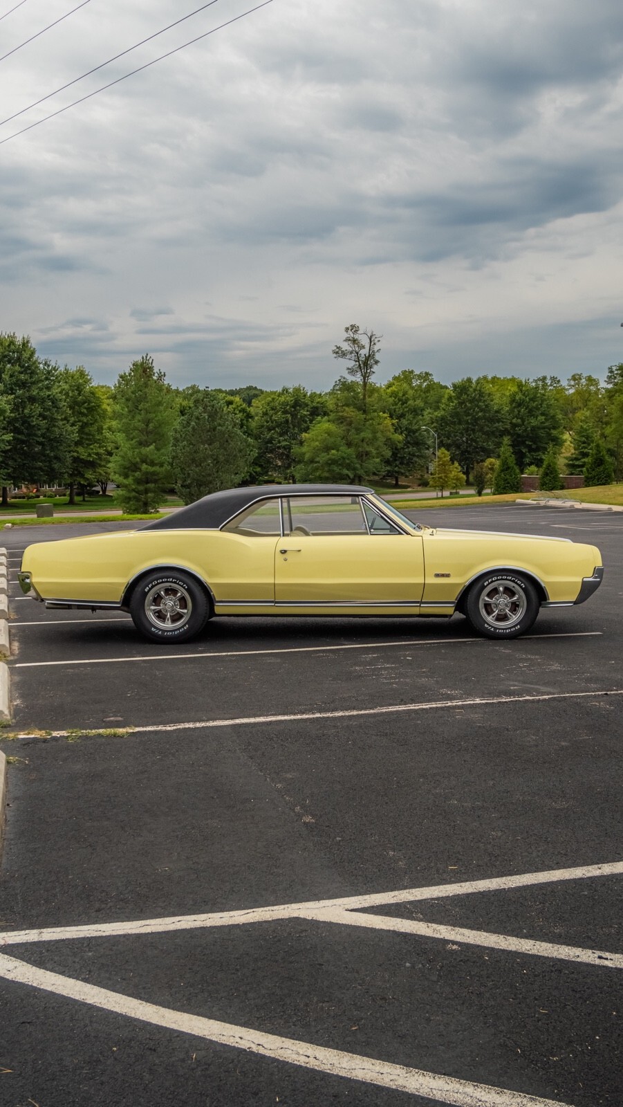 1967 Oldsmobile Cutlass 442 - photo 5