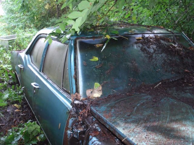 1967 Oldsmobile Delmont - photo 8