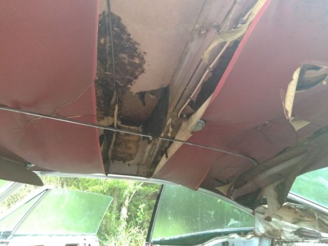 1967 Pontiac Catalina - photo 6