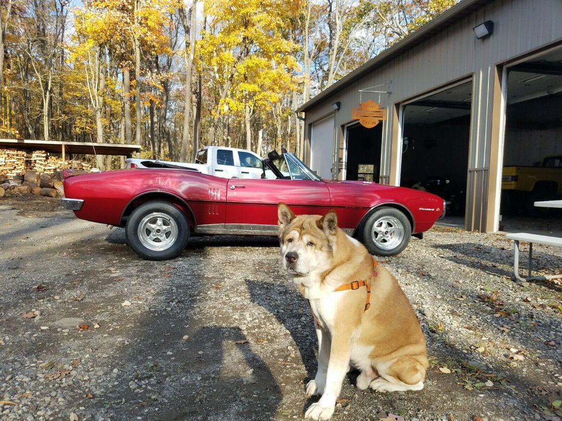 1967 Pontiac Firebird - photo 8