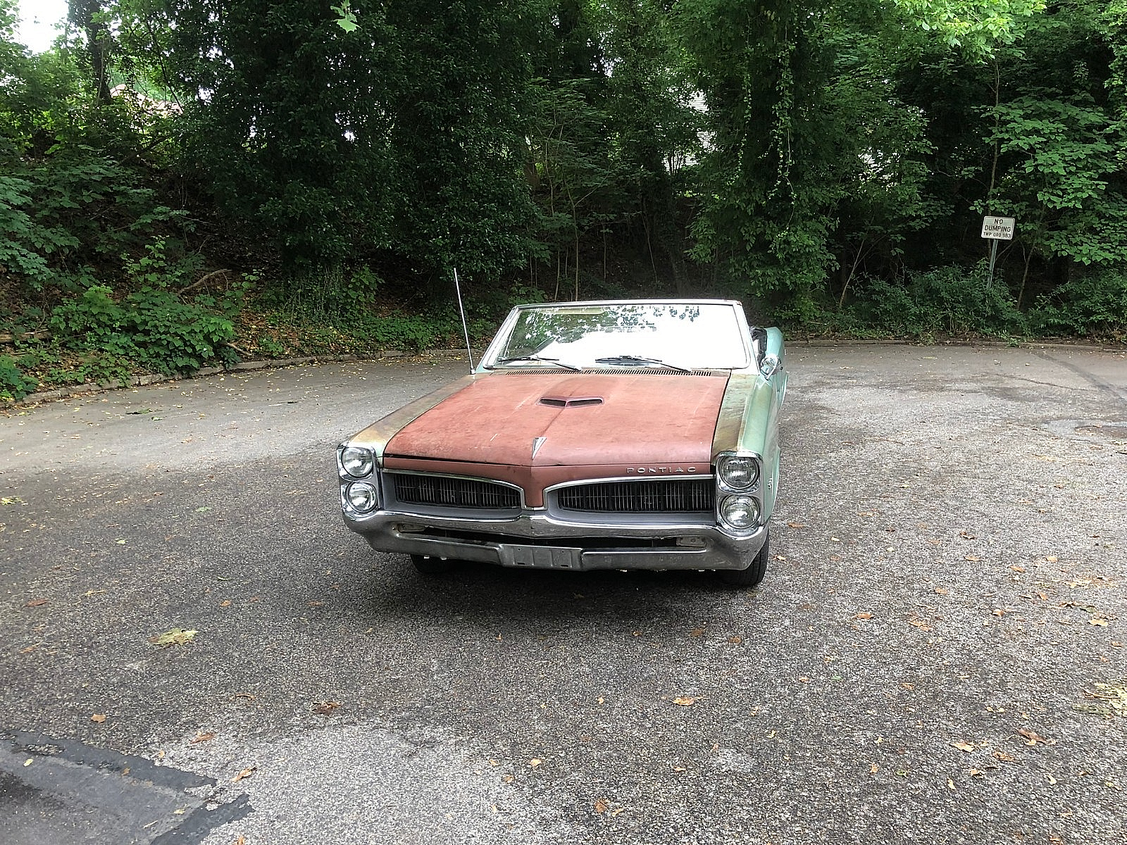 1967 Pontiac Le Mans - photo 10