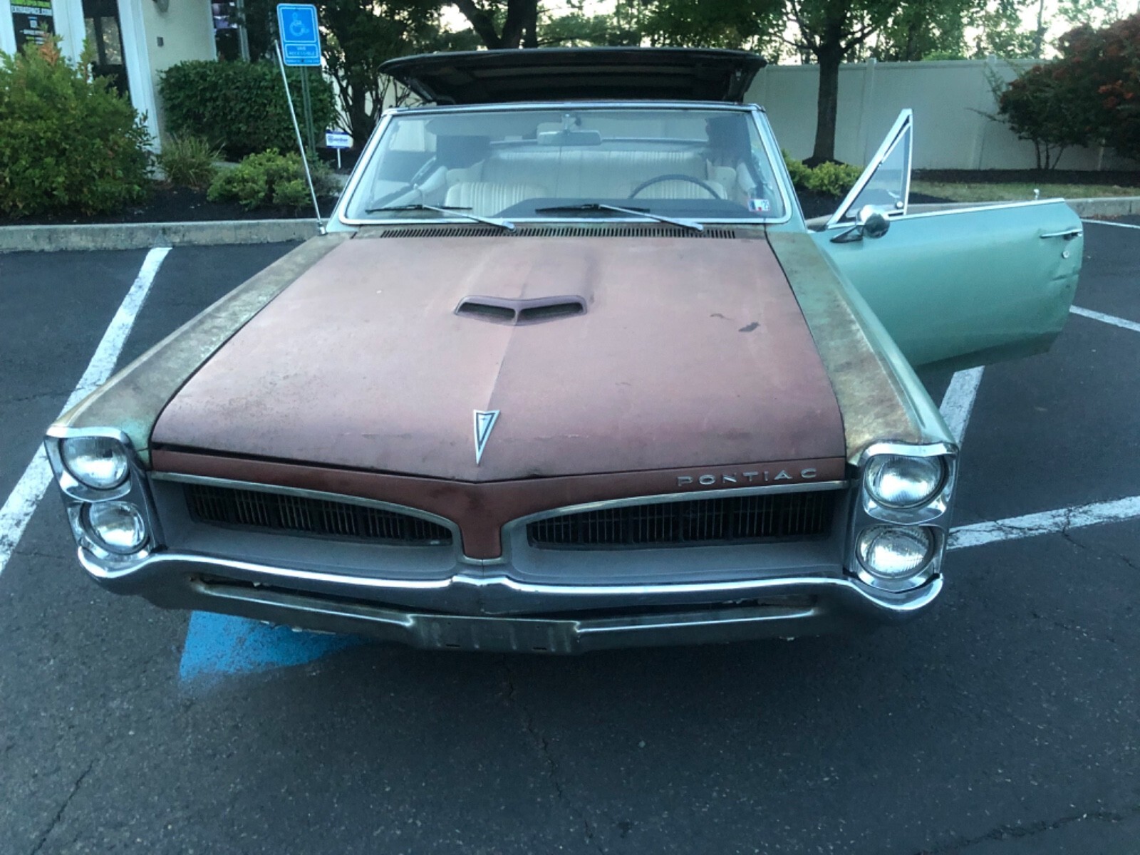 1967 Pontiac Le Mans - photo 7