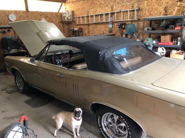 1967 Pontiac Le Mans - photo 4