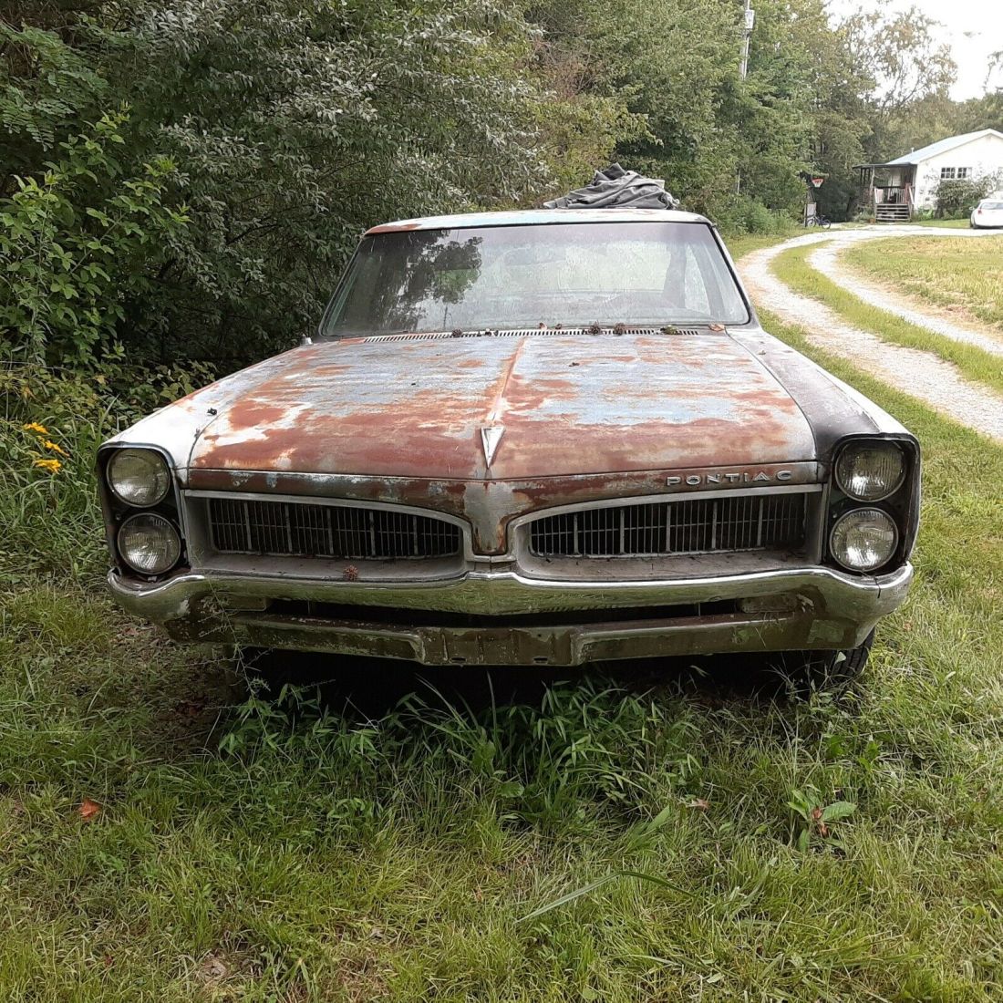 1967 Pontiac Tempest custom