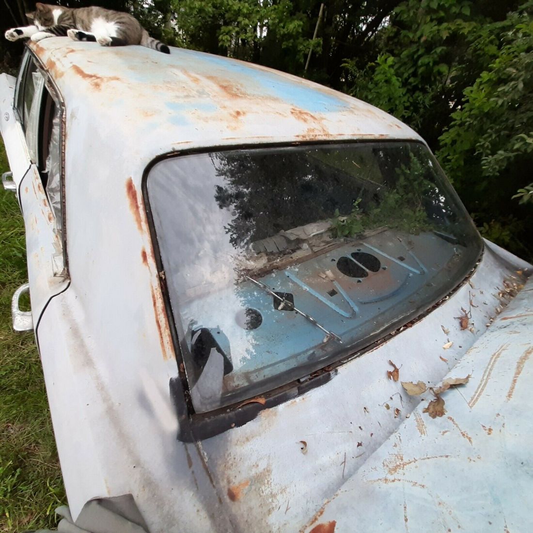 1967 Pontiac Tempest custom - photo 7