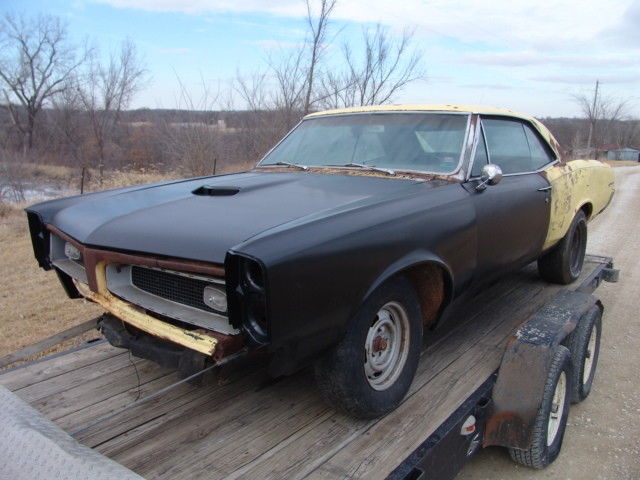 1967 Pontiac GTO 242 GTO - photo 2