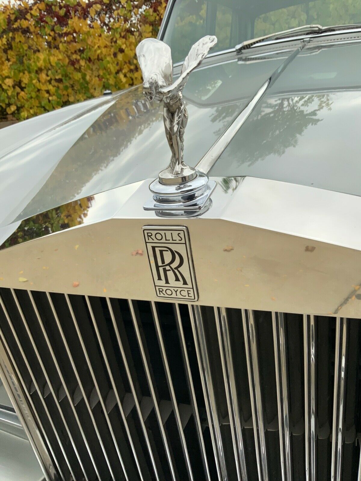 1967 Rolls-Royce Silver Shadow - photo 5