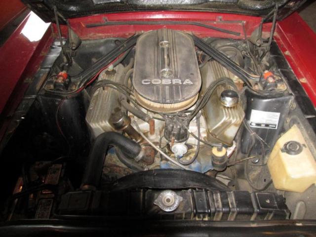 1967 Shelby - photo 10