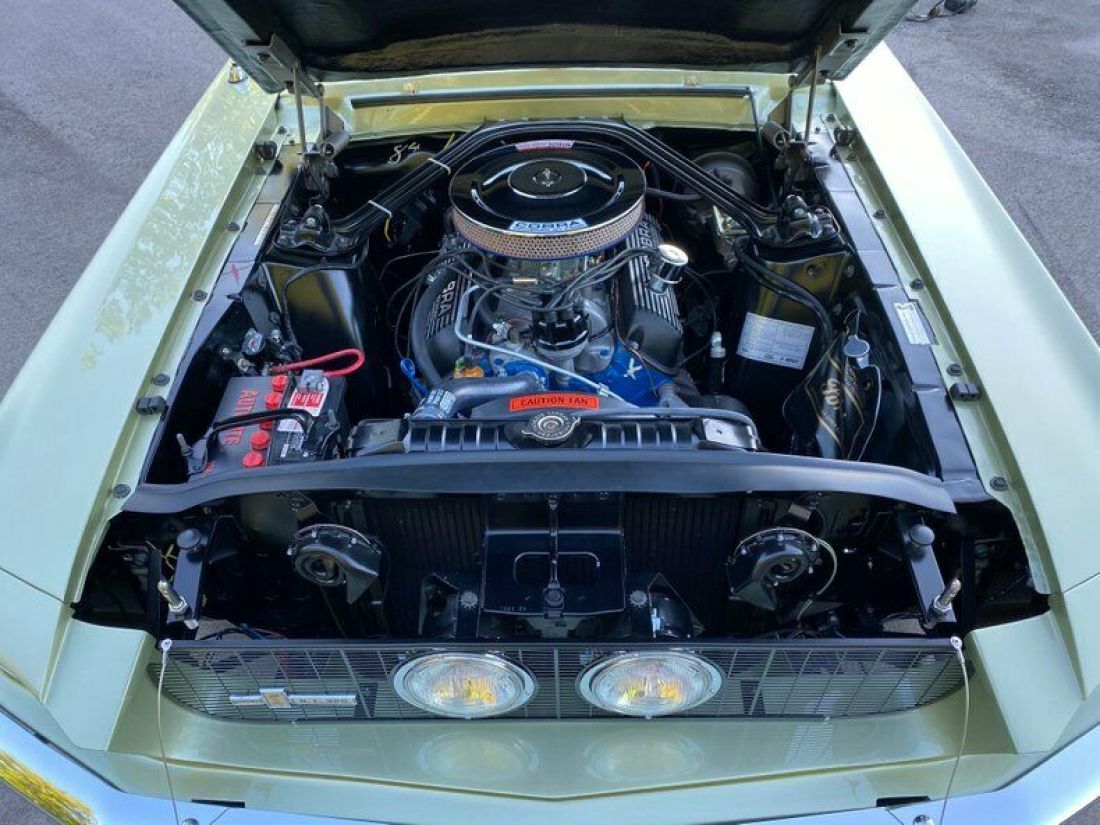 1967 Shelby GT350 - photo 5