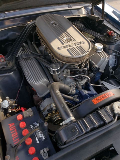 1967 Shelby - photo 3