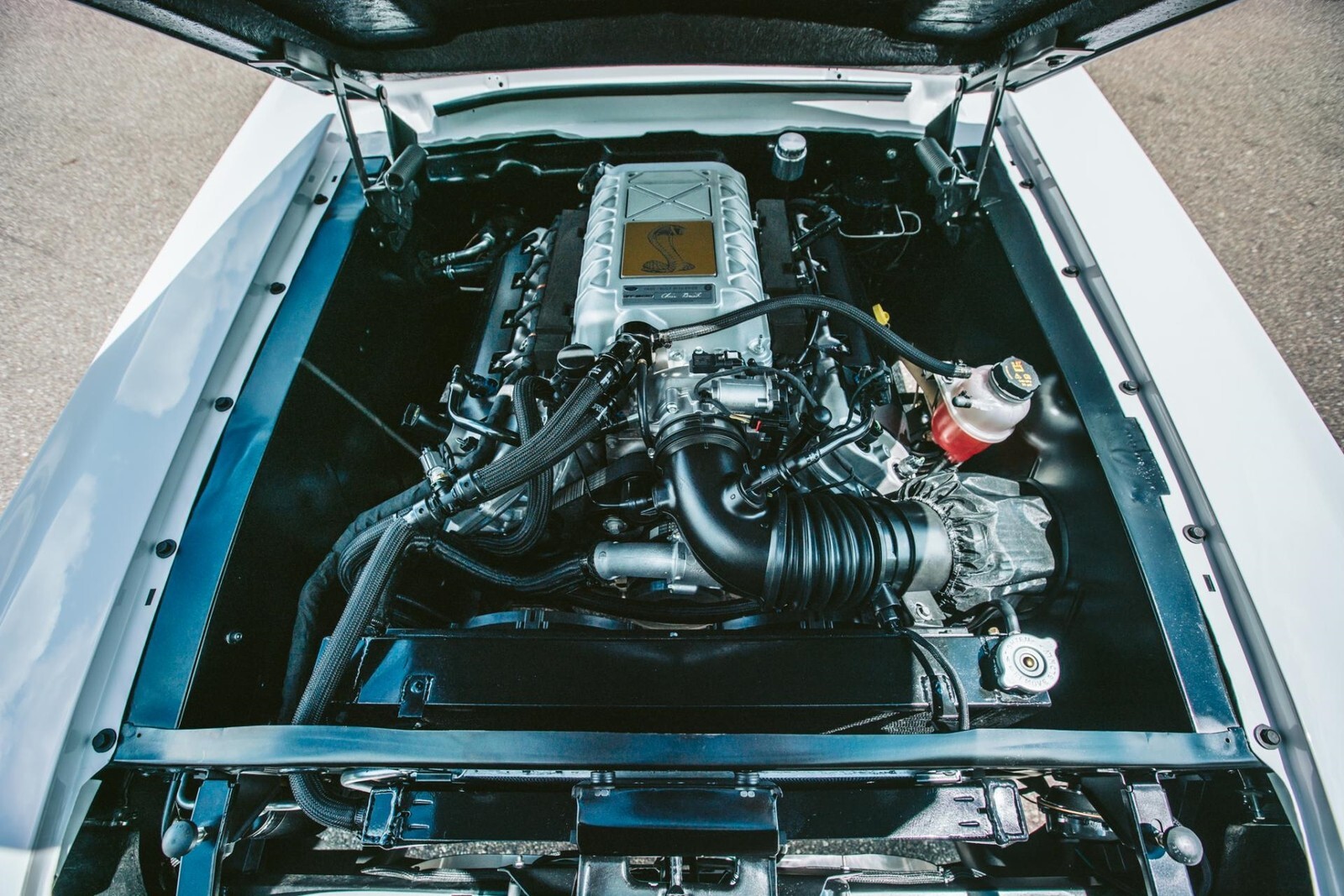 1967 Shelby GT500 Tribute - photo 7
