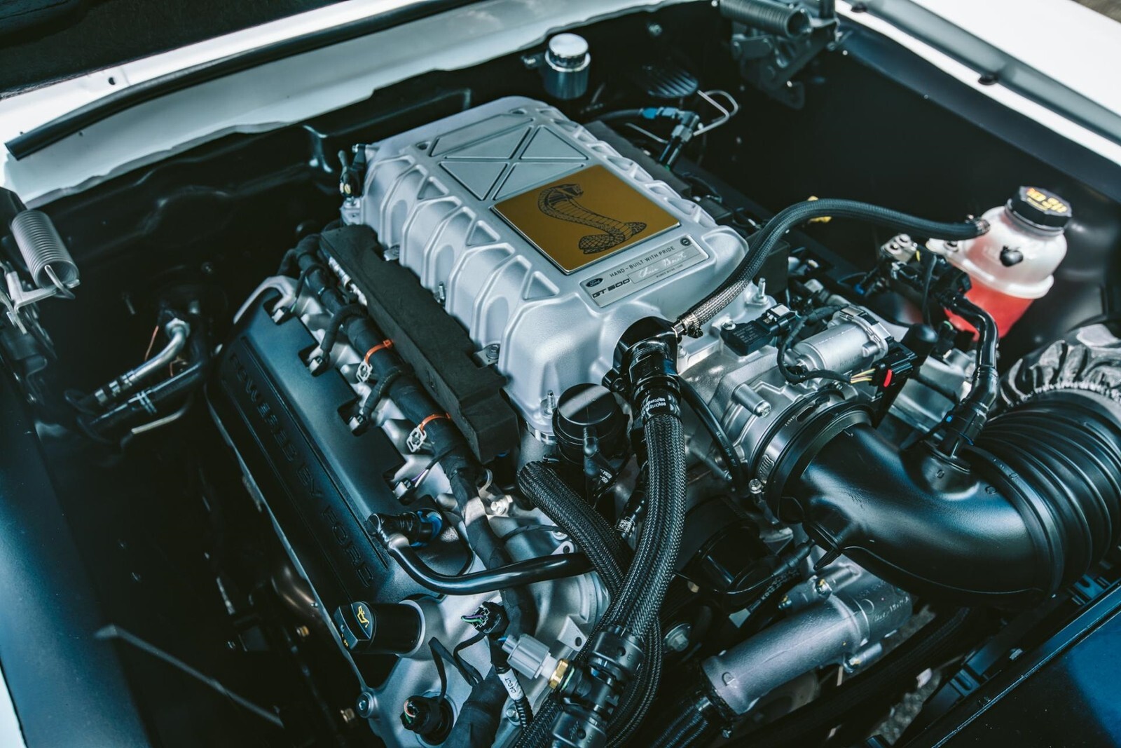 1967 Shelby GT500 Tribute - photo 8