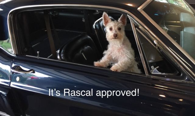 1967 Shelby Mustang GT350 - photo 7