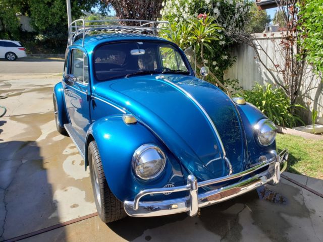 1967 Volkswagen Beetle VW Bug Classic 67 sedan CLEAN 1967 Volkswagen Beetle - Classic