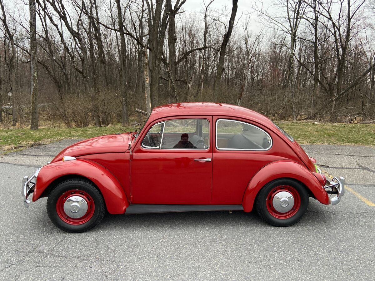 1967 Volkswagen Beetle - Classic - photo 5