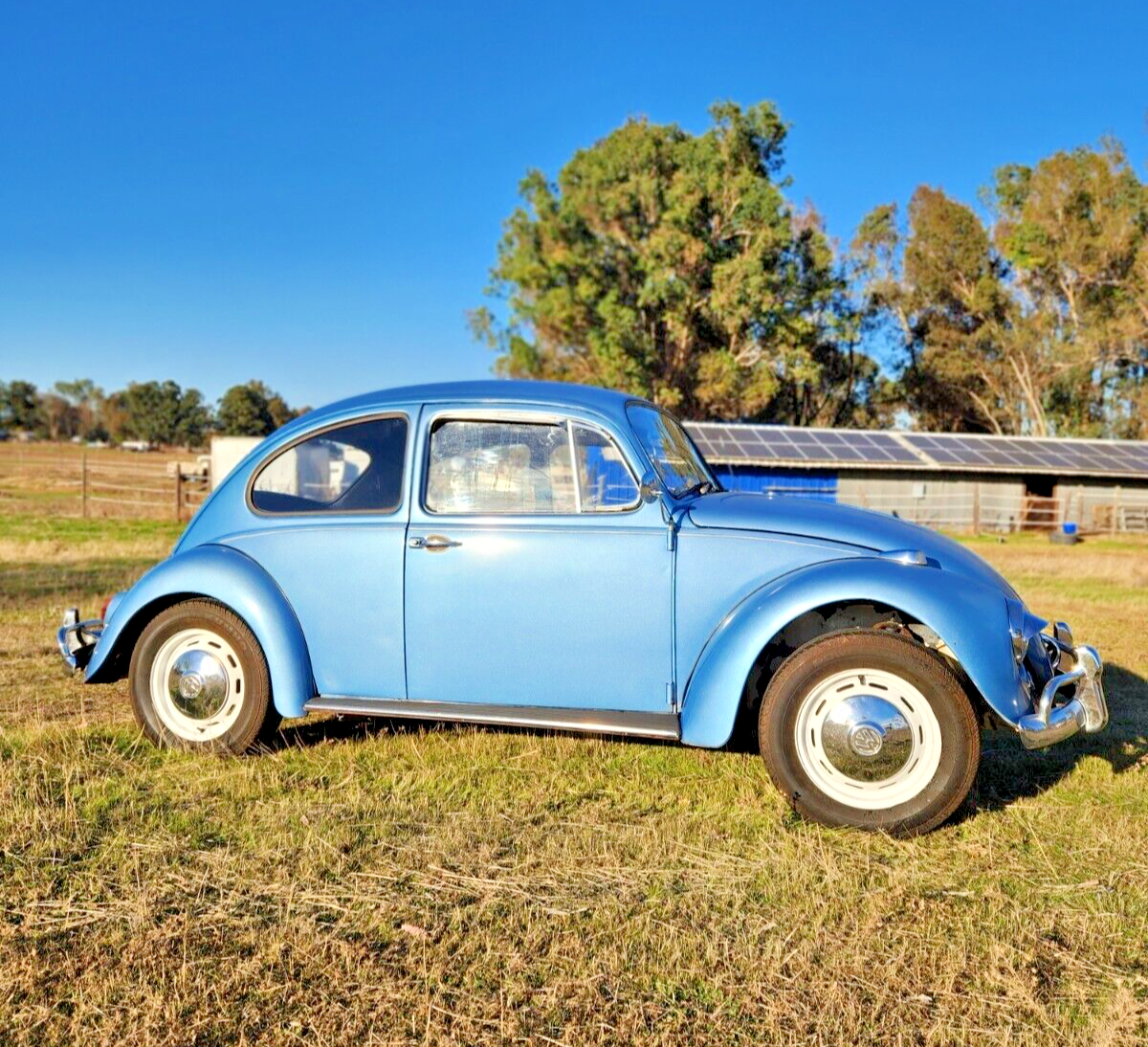 1967 Volkswagen Beetle - Classic - photo 10