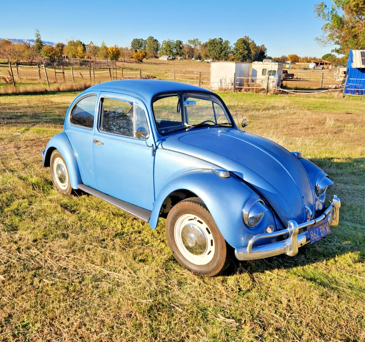 1967 Volkswagen Beetle - Classic - photo 2