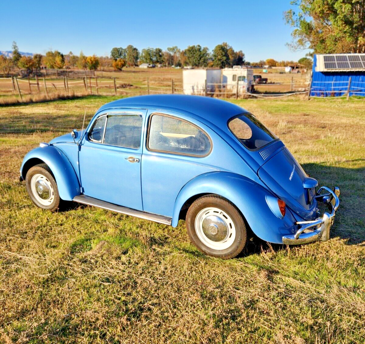 1967 Volkswagen Beetle - Classic - photo 3