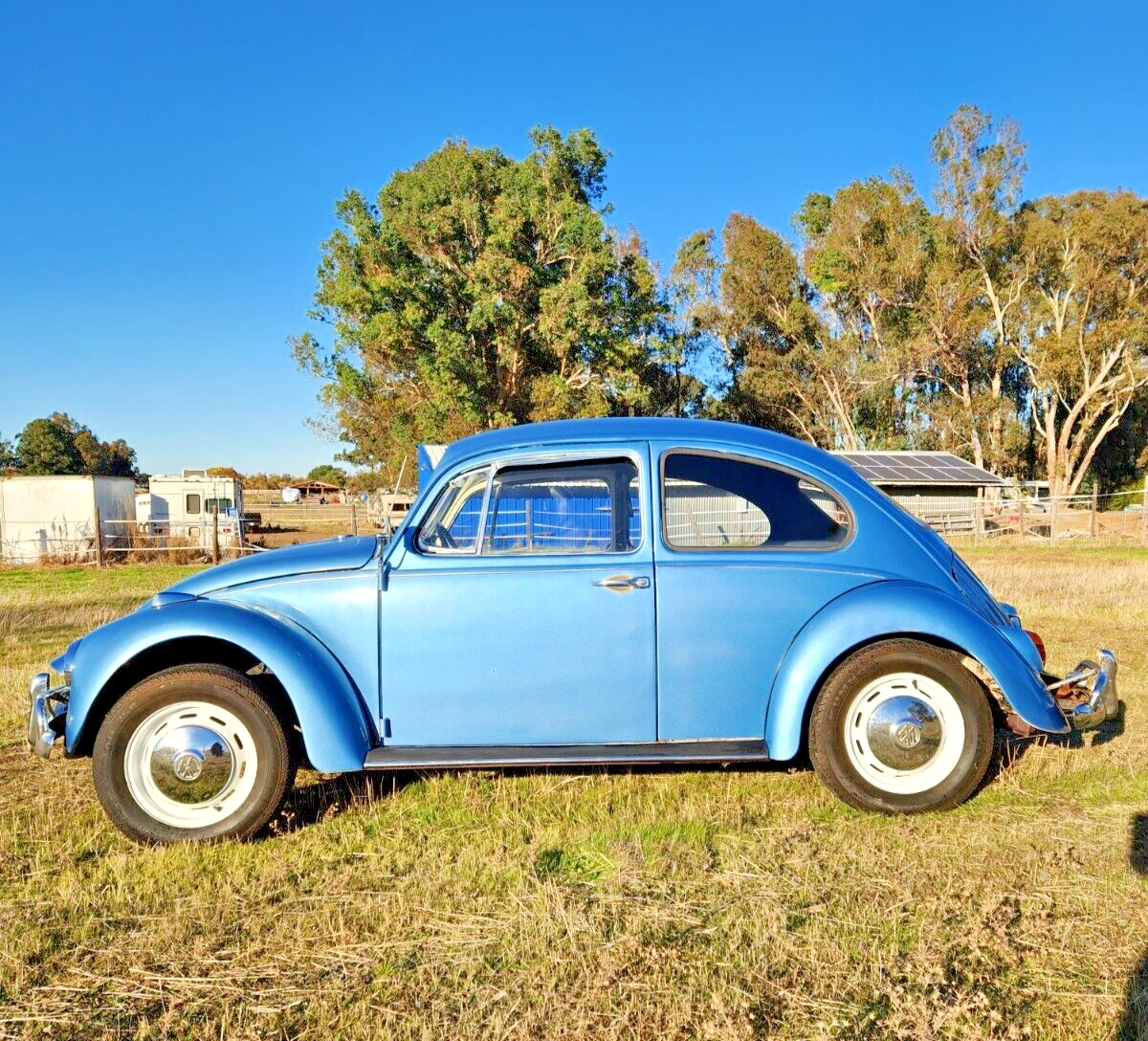 1967 Volkswagen Beetle - Classic - photo 4