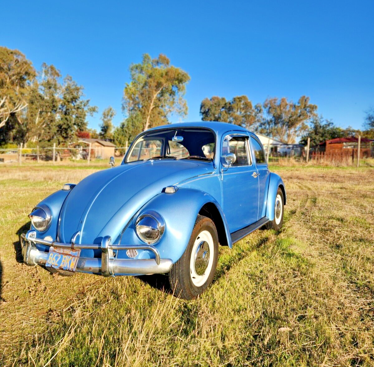 1967 Volkswagen Beetle - Classic - photo 5