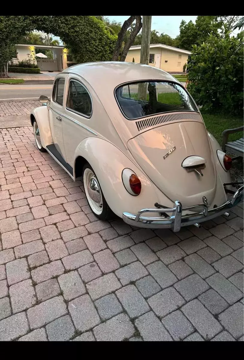 1967 Volkswagen Beetle White 1967 Volkswagen Beetle
