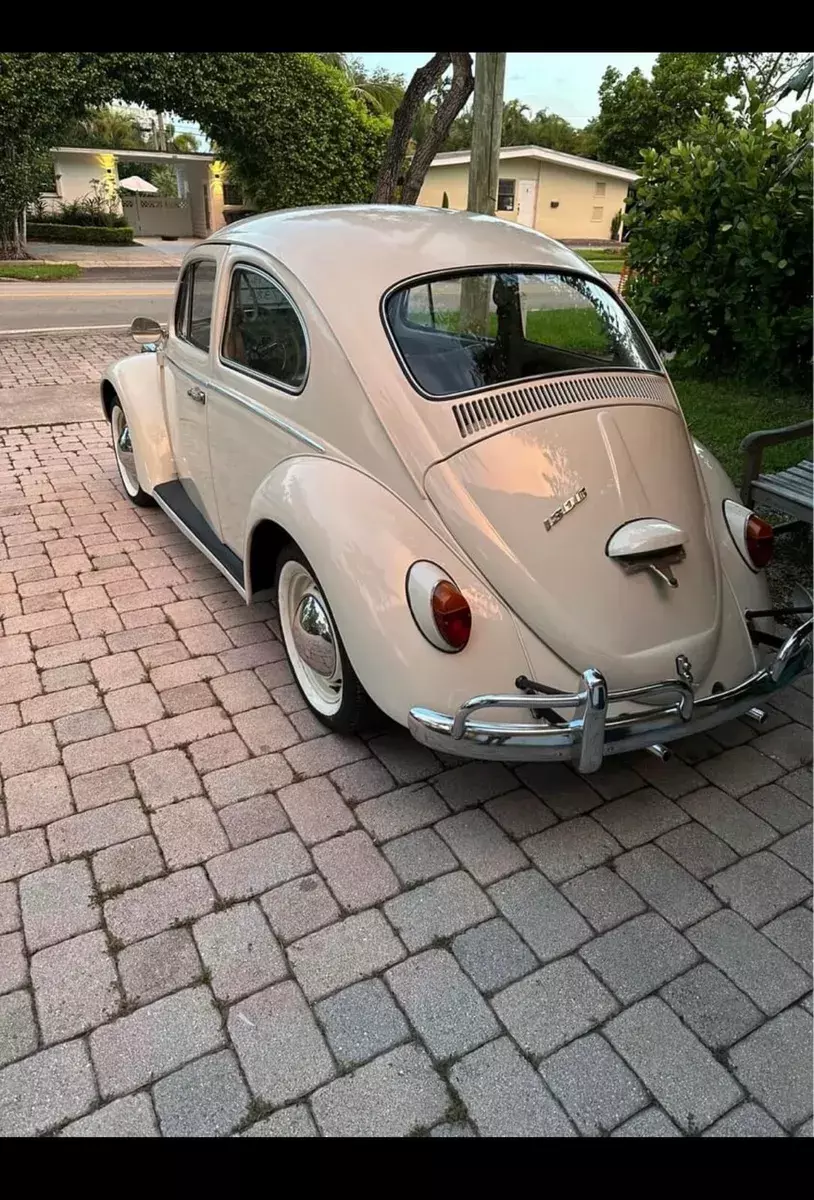 1967 Volkswagen Beetle White RWD Manual 1967 Volkswagen Beetle