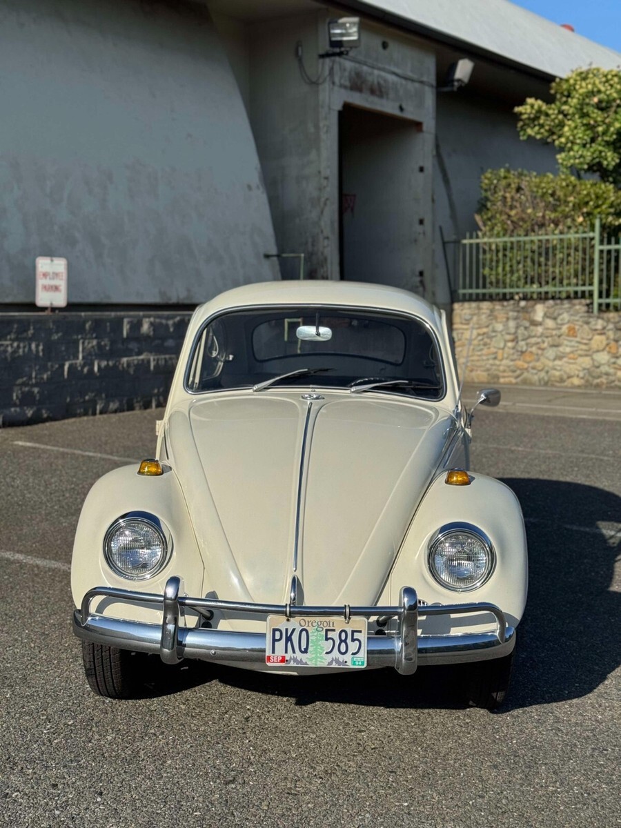 1967 Volkswagen Beetle - Classic - photo 2