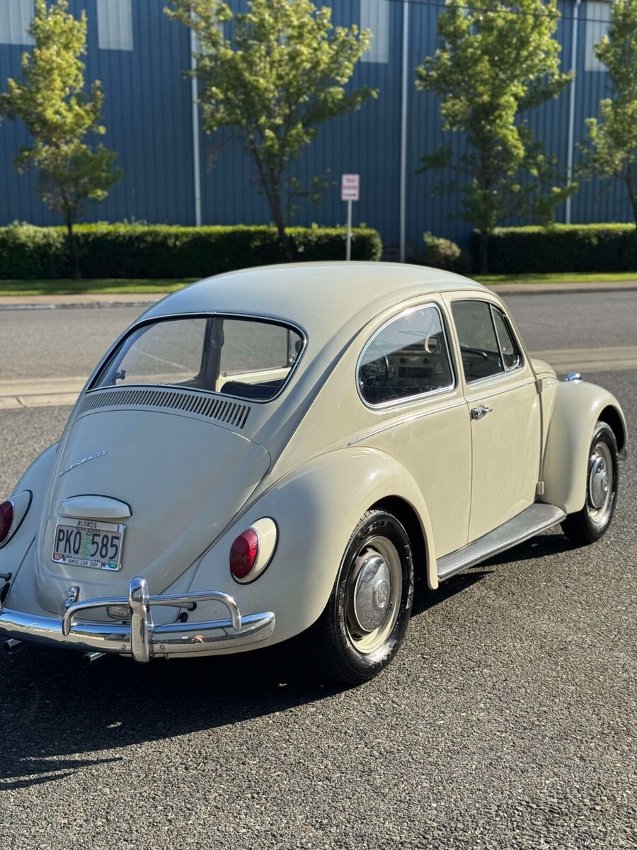 1967 Volkswagen Beetle - Classic - photo 4