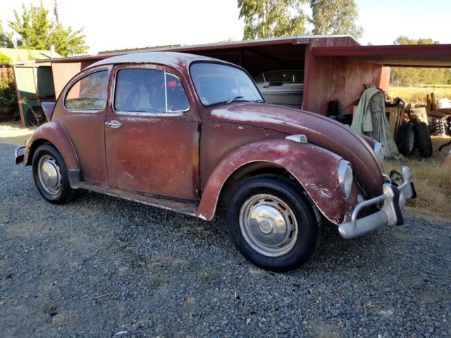 1967 Volkswagen Beetle - Classic - photo 2