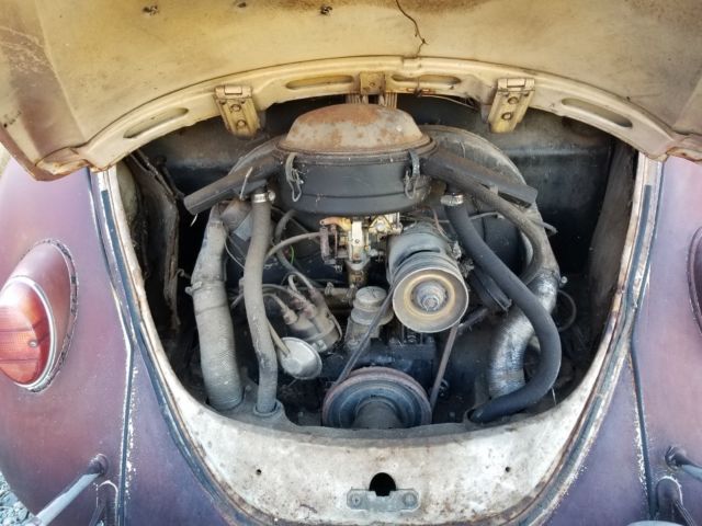 1967 Volkswagen Beetle - Classic - photo 4