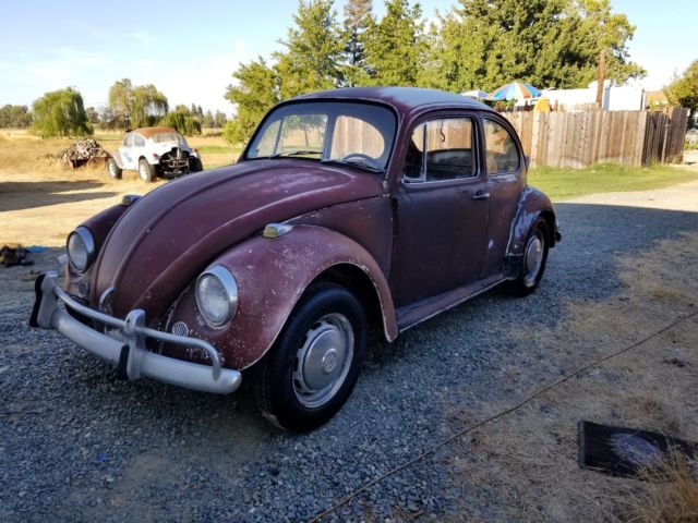 1967 Volkswagen Bug. Great Project. One Owner. ***Lowered Reserve*** 1967 Volkswagen Beetle - Classic