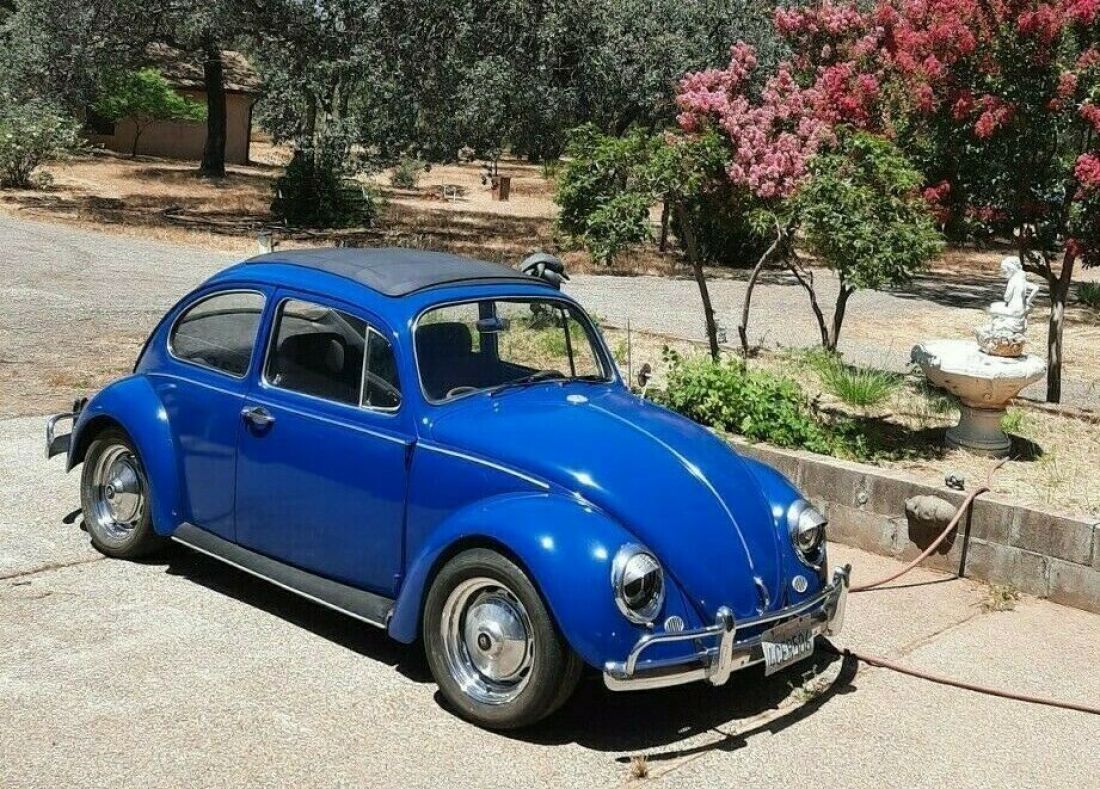 1967 Volkswagen VW Beetle Bug "Rag Top" CA Car,No Rust,Looks,Runs Great,Bid Now! 1967 Volkswagen Beetle - Classic