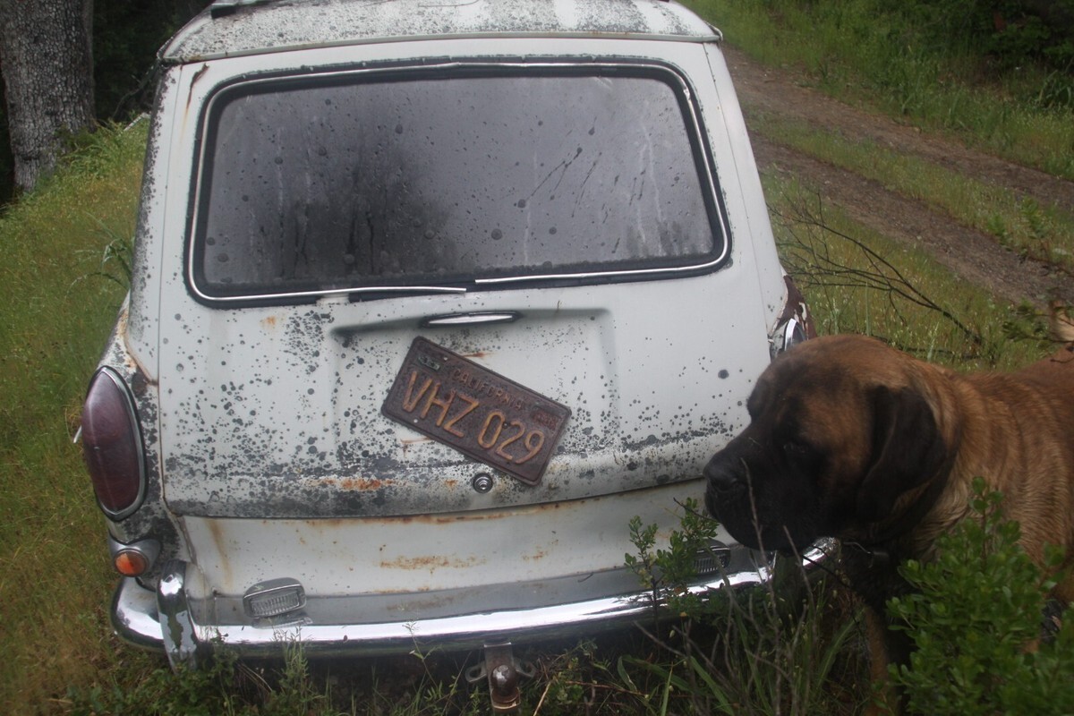 1967 Volkswagen Squareback Type 3 - photo 5
