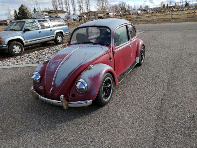 1967 Volkswagen Beetle - Classic