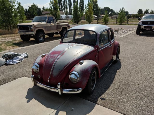 1967 Volswagen Bug Wolfsburg Edition (Lots of new parts) 1967 Volkswagen Beetle - Classic