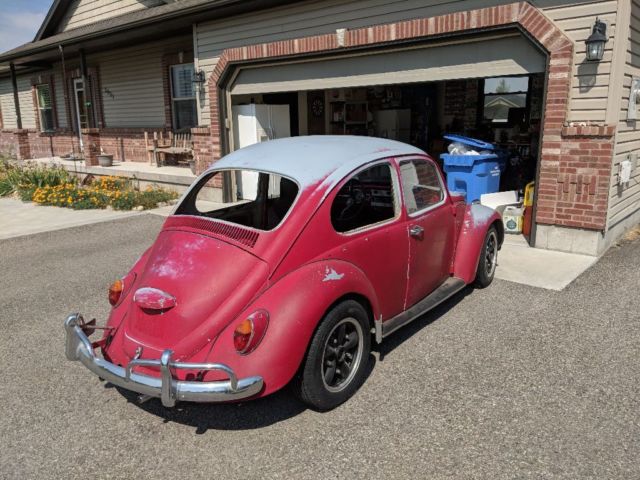 1967 Volkswagen Beetle - Classic - photo 3
