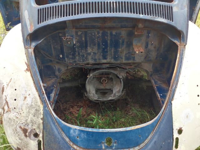 1967 Volkswagen Beetle - Classic - photo 3