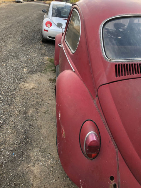 1967 Volkswagen Beetle - Classic - photo 2